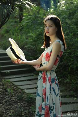 安装流程示意图